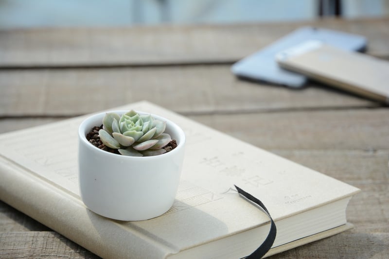 Plant Art